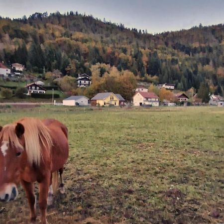 Le Vivaldi, Au Coeur Du Massif Vosgien Avec Terrain De Petanque Villa Rochesson ภายนอก รูปภาพ