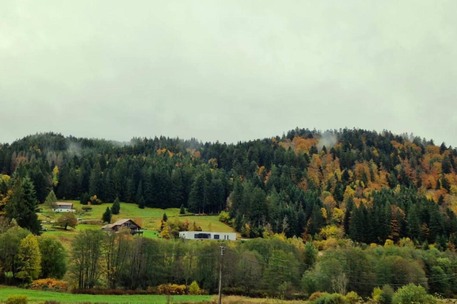 Le Vivaldi, Au Coeur Du Massif Vosgien Avec Terrain De Petanque Villa Rochesson ภายนอก รูปภาพ
